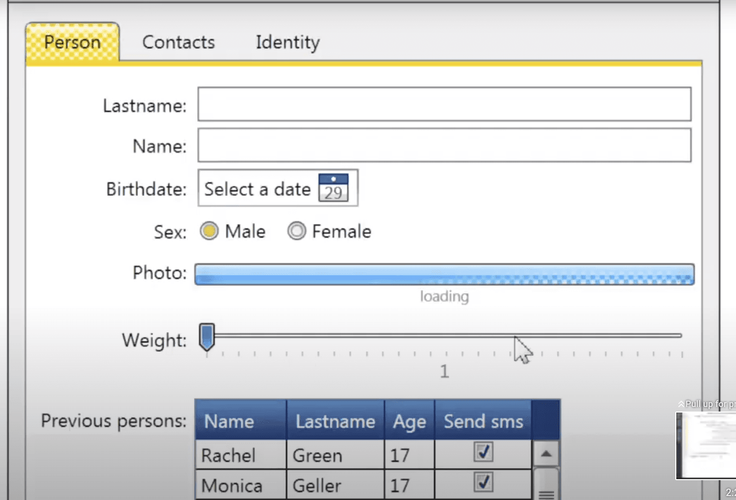 WPF/XAML themes for Microsoft.NET image 0